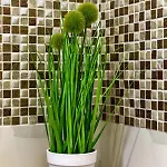 Ivy Apartament *