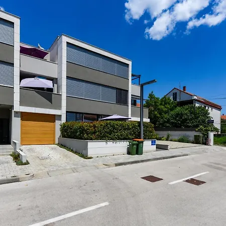 Ivy Zadar
