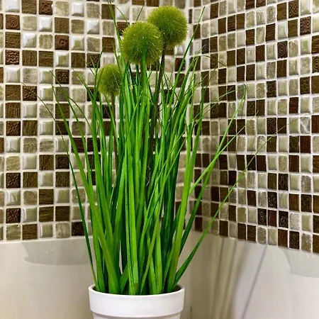 Ivy Apartment *