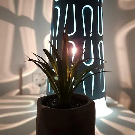 Ivy Apartment